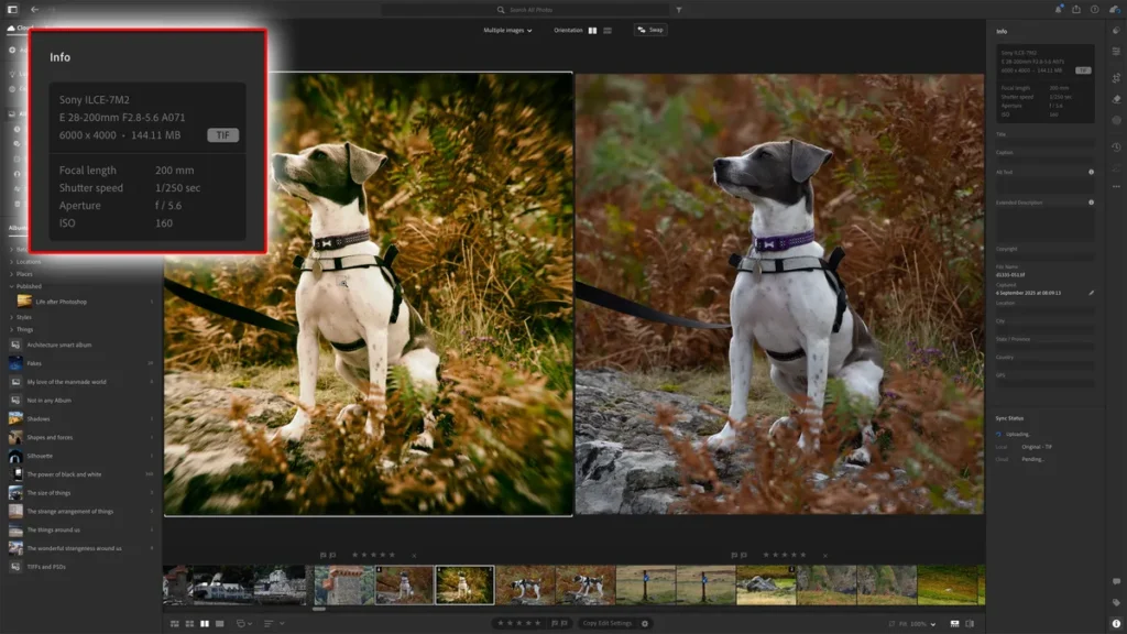 Adobe Photoshop Lightroom Classic Versi Lengkap 2026